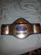 Wcw television championship for sale  Cambridge