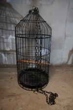 Black metal parrot for sale  ARMAGH