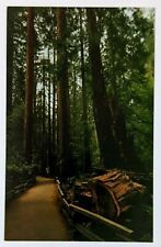 1970s muir woods for sale  Chattanooga