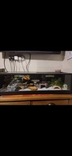 Vivarium vivexotic 3ft for sale  FERRYHILL