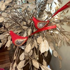 Red flocked bird for sale  Saint Paul