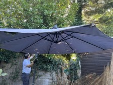 banana parasol for sale banana parasol for sale WATFORD