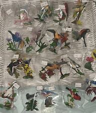 Backyard birds north for sale  Jacksonville