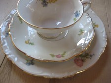 Gedeck tlg tasse gebraucht kaufen  Halblech