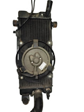 Radiatore completo ventola usato  Caravaggio