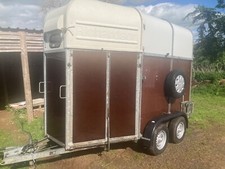Richardson supreme horse for sale  CRAVEN ARMS