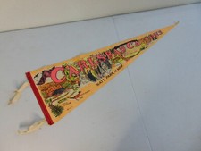 Vintage carlsbad caverns for sale  Tulsa
