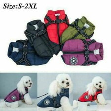 Hiver animal chien d'occasion  France