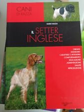 Mazza guido setter usato  Bologna