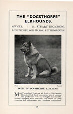Elkhound old vintage for sale  COLEFORD