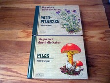 Alte naturführer pilze gebraucht kaufen  Bonn