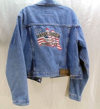 Harley davidson motorcycles for sale  USA