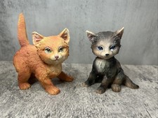 Set cat kitten for sale  Cherry Hill