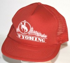 Vintage wyoming cowboy for sale  Bay City