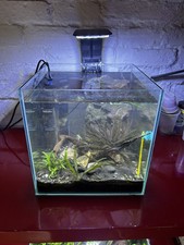 Acquario quadrato completo usato  Ferrara