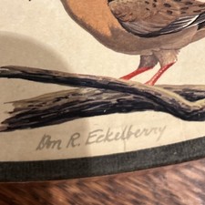 1965 round springbok for sale  Wharton