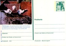 Bildpostkarte saulgau postfris gebraucht kaufen  Deutschland