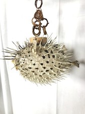 Poisson globe suspendre d'occasion  Héricourt