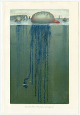 Seeblase meer küste gebraucht kaufen Seeblase meer küste gebraucht kaufen  Göttingen