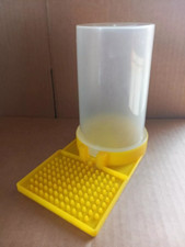 Quail chick poultry for sale  WORTHING