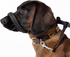 Figure dog lead for sale  UK