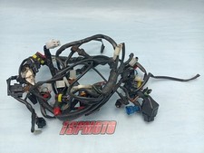 Cablaggio elettrico electric usato  Italia