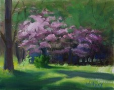 Spring Landscape Redbud Árvores Rosa Luz Solar e Sombra Óleo Original 8x10 Whitney comprar usado  Enviando para Brazil