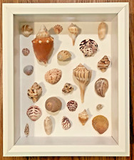 Framed wall art for sale  Portsmouth