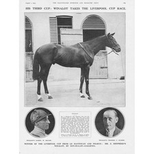Winalot race horse for sale  GLASGOW