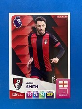 Panini adrenalyn premier usato  Italia
