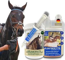 Elektrolyte pferd sparset gebraucht kaufen  Berge