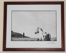 linda mccartney for sale linda mccartney for sale SPILSBY