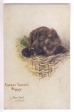 Cpa fancy animal d'occasion  Expédié en Belgium