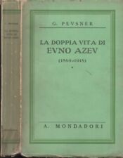 Libro pevsner doppia usato  Italia