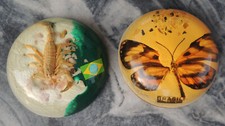 Souvenir brasil schmetterling gebraucht kaufen  Herford