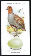 Ogdens british birds for sale  TAMWORTH