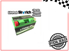 Batteria litio skyrich usato  Napoli