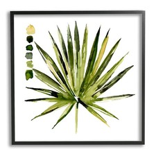 Succulent aloe plant for sale  Knoxville