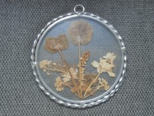 dried pressed flowers for sale  Ottawa
