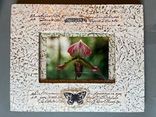 Lady slipper orchid for sale  Sarasota