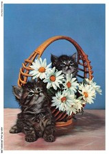 ASHP5-0291-CHAT - Gato Negro Y Cesta De Flores comprar usado  Enviando para Brazil