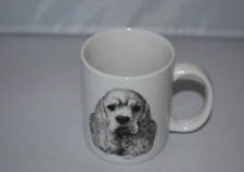 Cocker spaniel puppy for sale  Tyrone