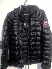 Canada goose hybridge for sale  HYDE