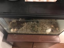 Aquarium for sale  TEDDINGTON