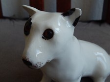 Winstanley bull terrier for sale  BEDALE