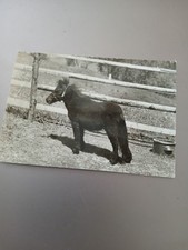 Alte foto ddr gebraucht kaufen  Stollberg, Niederdorf
