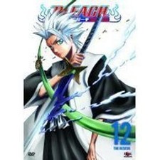 Dvd bleach vol.12 d'occasion  Les Mureaux