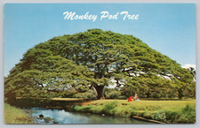 Postcard monkey pod for sale  San Jose