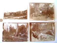 Anciennes 1890 bucheron d'occasion  L'Isle-sur-la-Sorgue