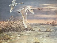 Lithograph art work for sale  Roanoke